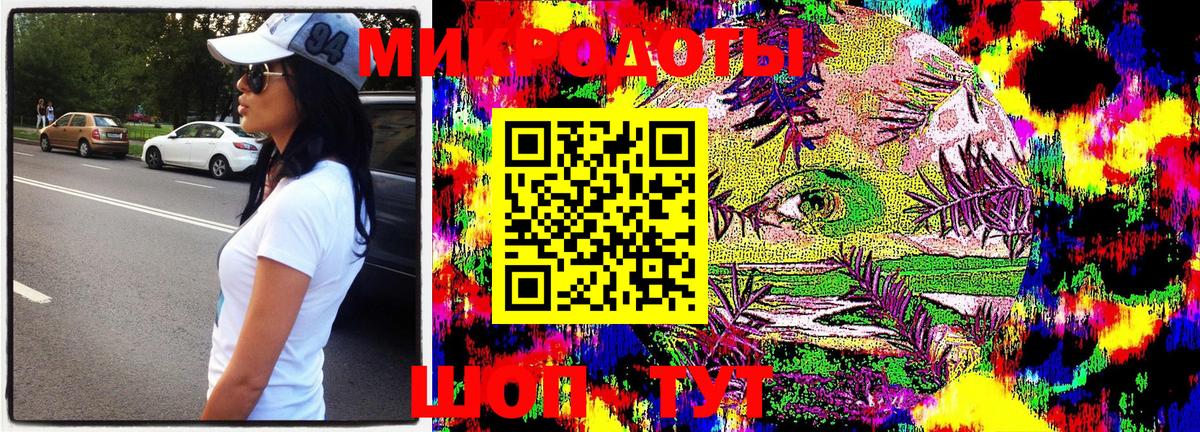 Галлюциногенные грибы Psilocybine cubensis Хасавюрт